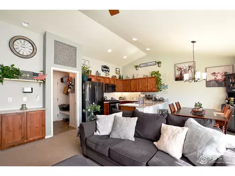 460 Mt Sherman Ave, Severance, CO 80550 photo 7