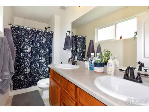 460 Mt Sherman Ave, Severance, CO 80550 photo 22
