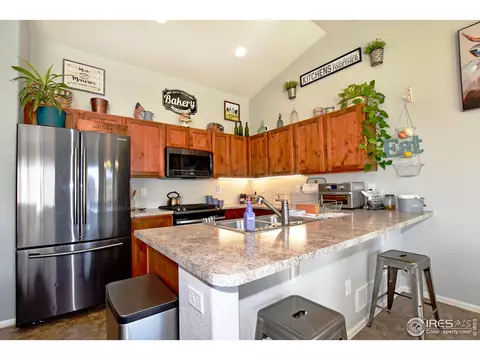 460 Mt Sherman Ave, Severance, CO 80550 photo 12