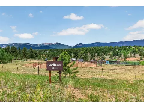 Other - 1328 Clark Rd, Bailey, CO 80421 photo 13 of 13