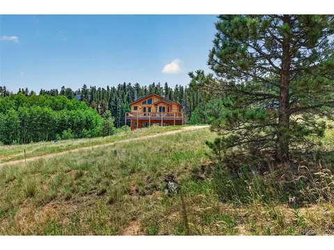 1328 Clark Rd, Bailey, CO 80421