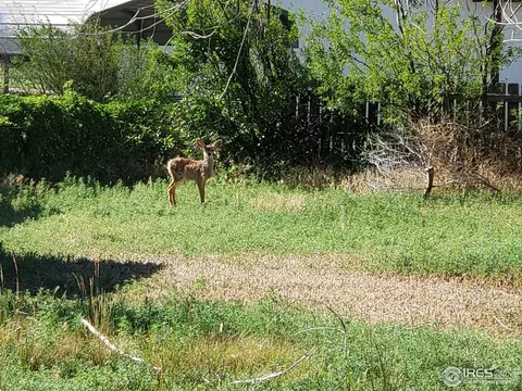 6739 3rd St, Cope, CO 80812 photo 25