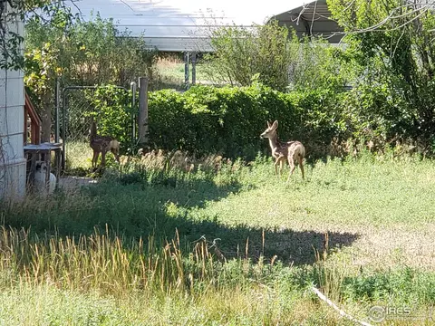 6739 3rd St, Cope, CO 80812 photo 24