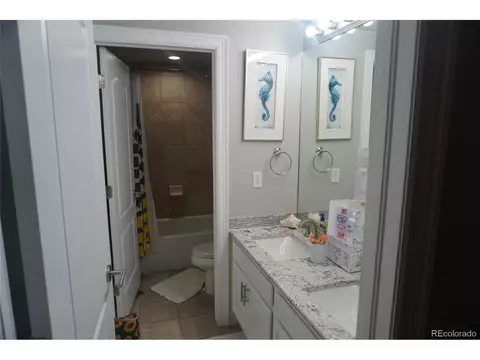 15557 E Progress Dr, Centennial, CO 80015 photo 38