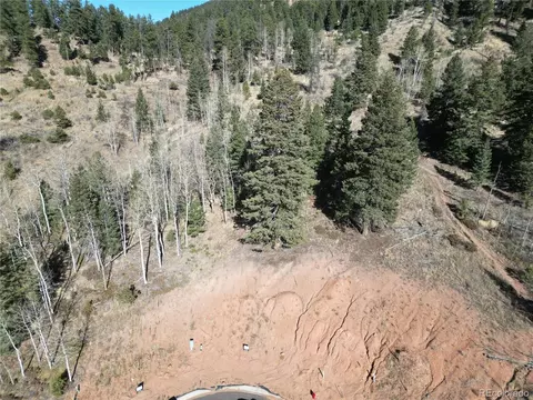 15 Blue Haven Pl, Woodland Park, CO 80863