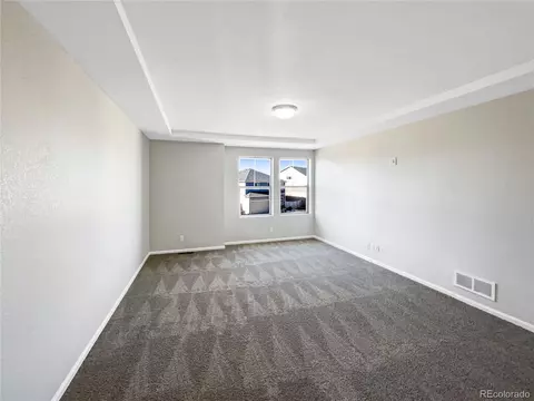 4828 Ceylon Way, Denver, CO 80249 photo 17