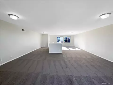 4828 Ceylon Way, Denver, CO 80249 photo 29
