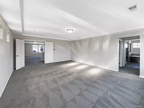 4828 Ceylon Way, Denver, CO 80249 photo 19