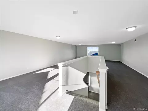 4828 Ceylon Way, Denver, CO 80249 photo 28