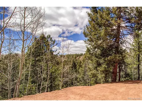 221 Valley Rd, Divide, CO 80814