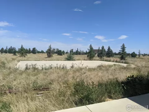 12 S Pine Ln, Wiggins, CO 80654 photo 3