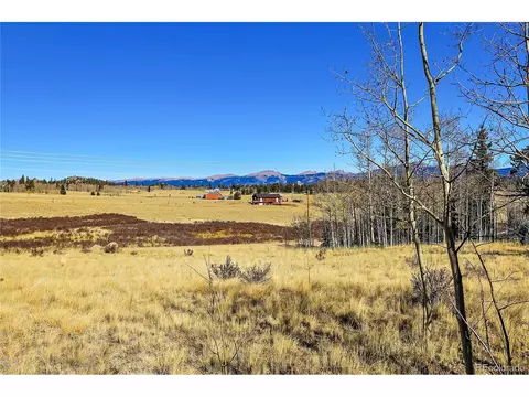 Chief Trl, Como, CO 80432 photo 12