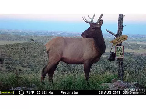 2001 Obenchain Rd, Laporte, CO 80535 photo 38
