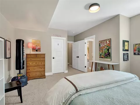 1070 Panoramic Dr, Monument, CO 80132 photo 45