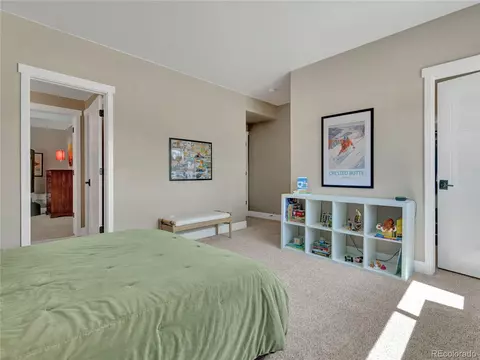 1070 Panoramic Dr, Monument, CO 80132 photo 41