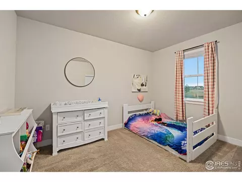 1692 Bounty Dr, Windsor, CO 80550 photo 21