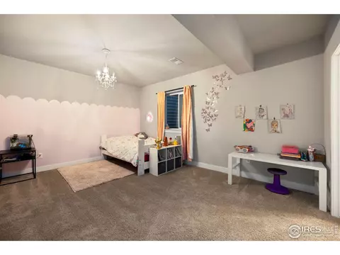 1692 Bounty Dr, Windsor, CO 80550 photo 25