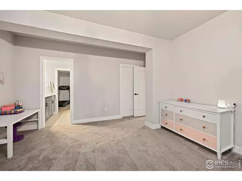 1692 Bounty Dr, Windsor, CO 80550 photo 26