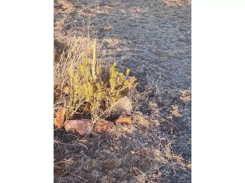 4480 S Yoder Rd, Yoder, CO 80864 photo 6