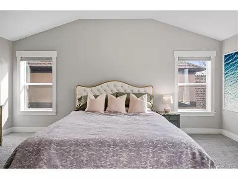 8608 E 25th Dr, Denver, CO 80238 photo 20