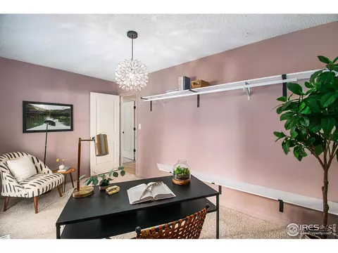 3702 Post Rd, Laporte, CO 80535 photo 19