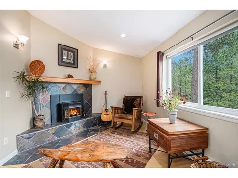 13322 S Omaha St, Pine, CO 80470 photo 6