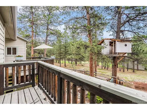 13322 S Omaha St, Pine, CO 80470 photo 35