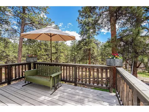 13322 S Omaha St, Pine, CO 80470 photo 31