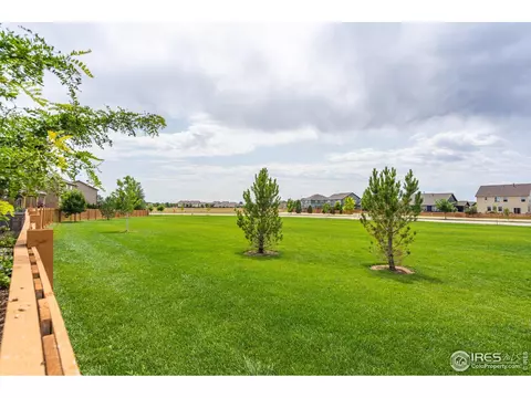 1537 Taplow Ct, Windsor, CO 80550 photo 40