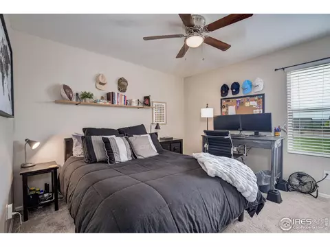 1537 Taplow Ct, Windsor, CO 80550 photo 21