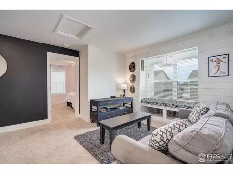 1537 Taplow Ct, Windsor, CO 80550 photo 23