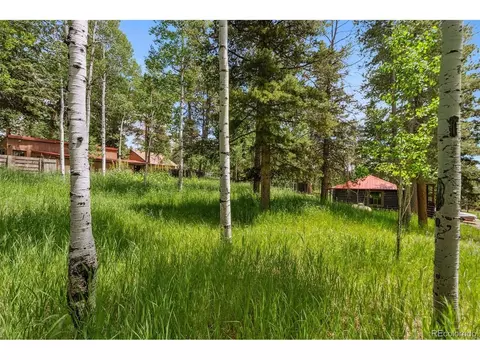 10993 Barker Ave, Conifer, CO 80433 photo 43