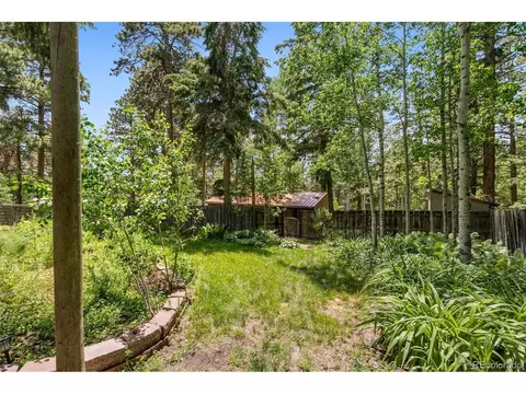 10993 Barker Ave, Conifer, CO 80433 photo 28