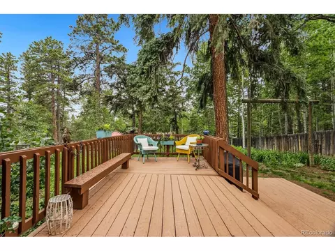 10993 Barker Ave, Conifer, CO 80433 photo 24