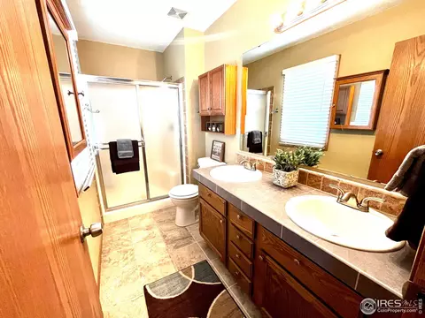 1123 3rd St, Windsor, CO 80550 photo 17