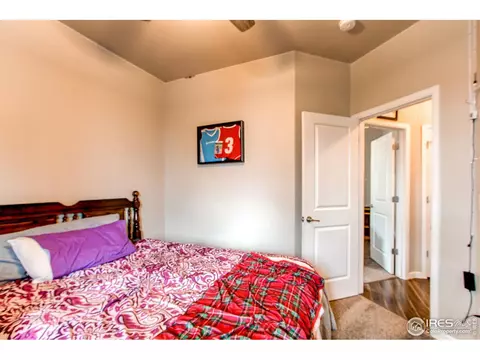 815 Saddleback Dr, Milliken, CO 80543 photo 22