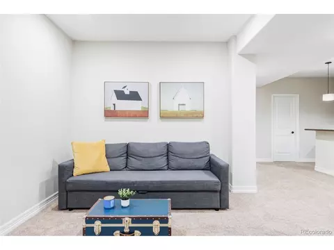 8695 E 49th Pl, Denver, CO 80238 photo 24