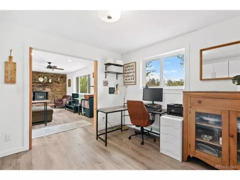 493 Bob Cat Trl, Bailey, CO 80421 photo 11