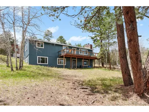 493 Bob Cat Trl, Bailey, CO 80421 photo 25