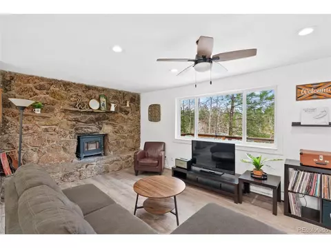 493 Bob Cat Trl, Bailey, CO 80421 photo 9