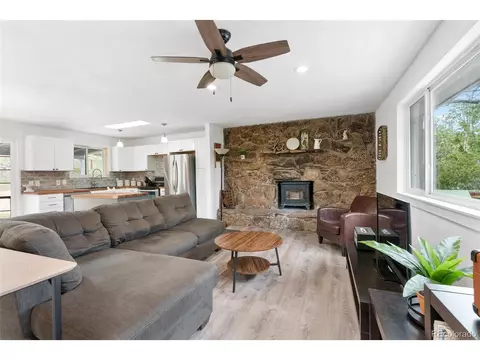 493 Bob Cat Trl, Bailey, CO 80421 photo 8