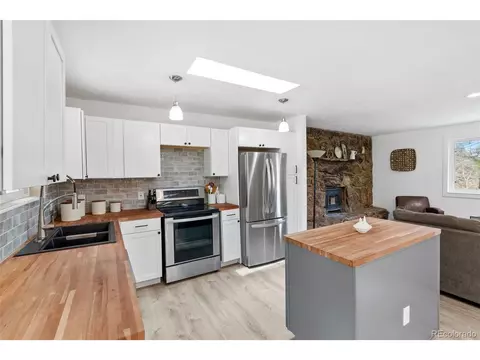 493 Bob Cat Trl, Bailey, CO 80421 photo 6