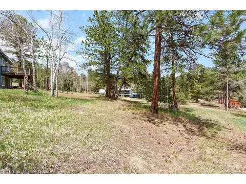493 Bob Cat Trl, Bailey, CO 80421 photo 35