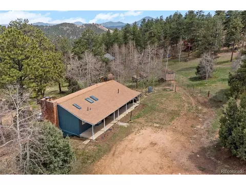 493 Bob Cat Trl, Bailey, CO 80421 photo 28