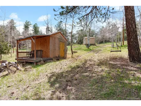 493 Bob Cat Trl, Bailey, CO 80421 photo 32