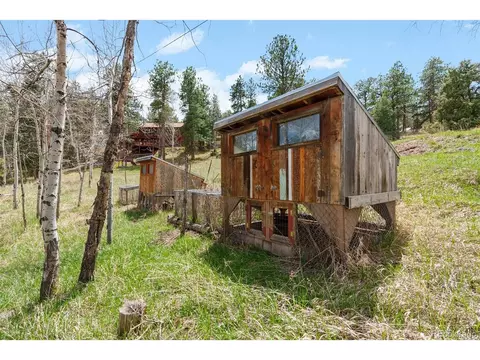 493 Bob Cat Trl, Bailey, CO 80421 photo 33