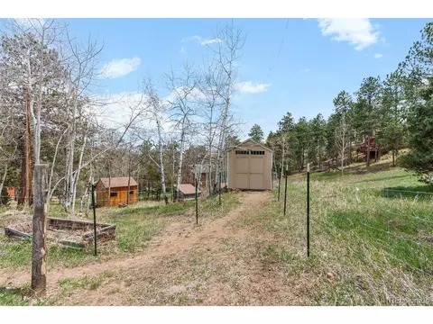 493 Bob Cat Trl, Bailey, CO 80421 photo 34
