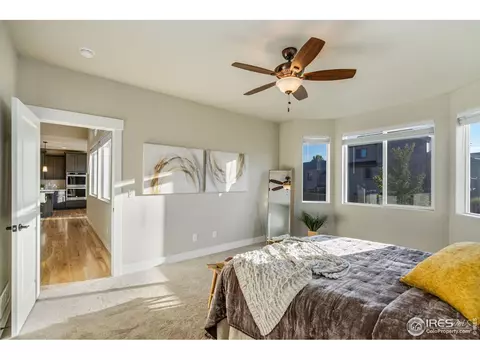 5183 Long Dr, Timnath, CO 80547 photo 16