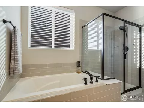 5183 Long Dr, Timnath, CO 80547 photo 19