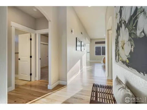 5183 Long Dr, Timnath, CO 80547 photo 4